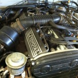 86 Cressida