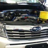 Subaru 2010